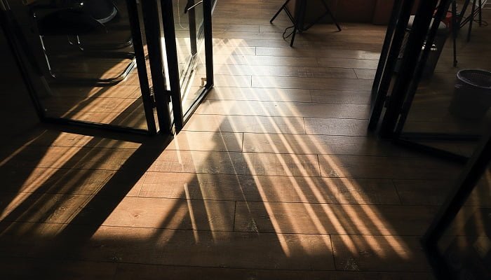 biodeterioramento legno